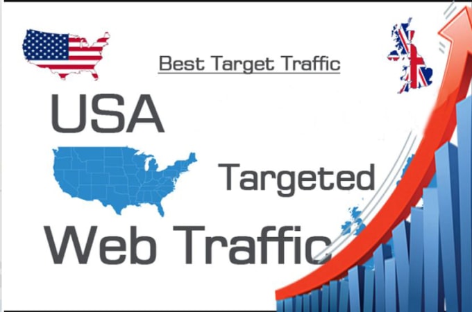 Gig Preview - Give real social or keyword targeted human visitors from USA