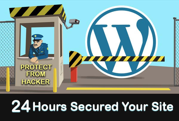 Gig Preview - Secure wordpress website and protect from hackers