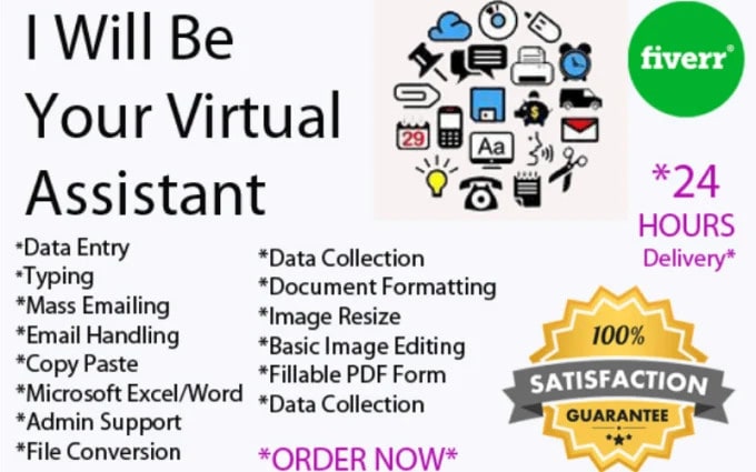 Gig Preview - Be your virtual assistant for data entry, data mining, copy paste, web research