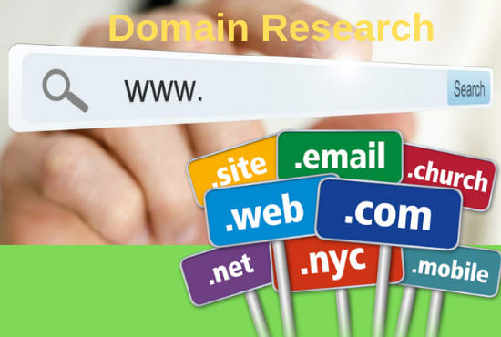 Gig Preview - Find profitable domain names and design logo