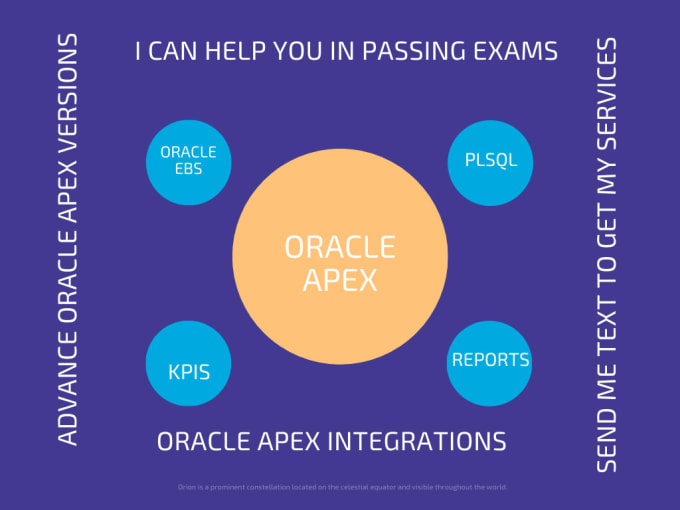 Gig Preview - Develop and edit oracle apex application