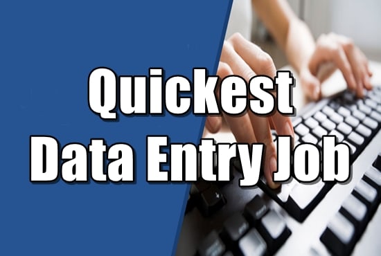 Gig Preview - Quickly complete your data entry work