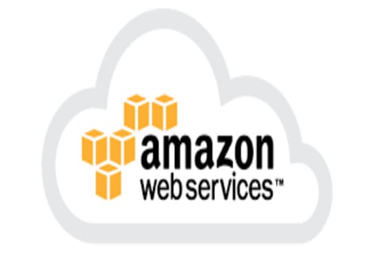 Gig Preview - Aws setup linux and windows instances