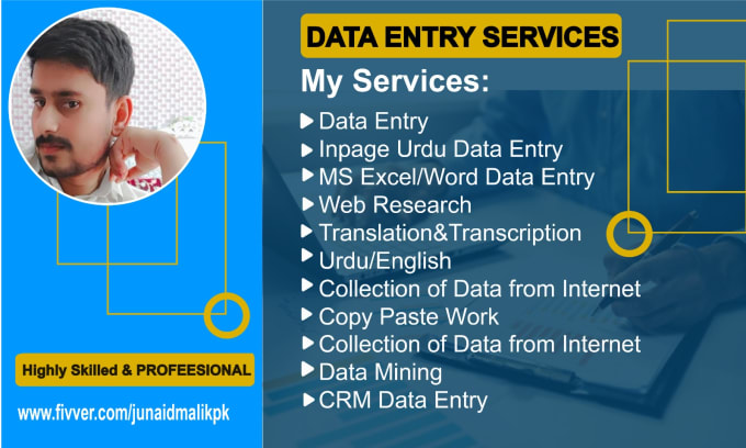 Gig Preview - Do data entry, copy paste, and excel data entry work