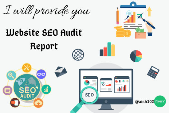 Gig Preview - Provide you detailed audit report within 24 hours