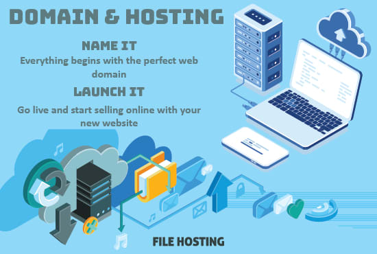 Gig Preview - Setup and configure domain and hosting for your website