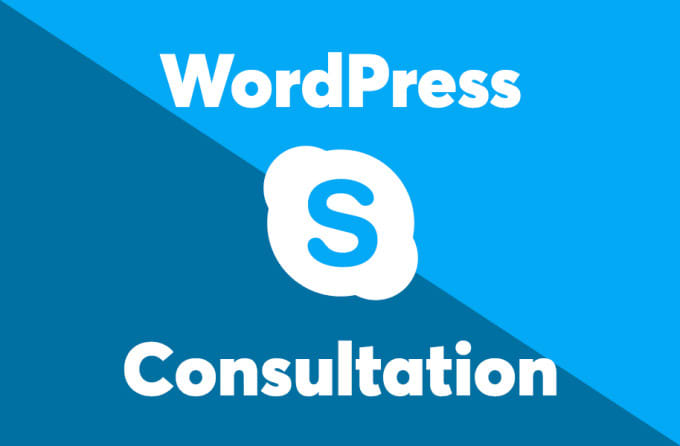 Gig Preview - Discuss your wordpress or woocommerce project through skype