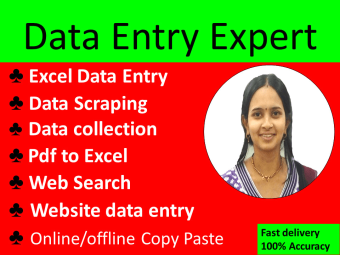 Gig Preview - Do excel data entry, pdf to excel, copy paste, data scrape