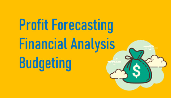 Gig Preview - Do budget and profit forecast of your business