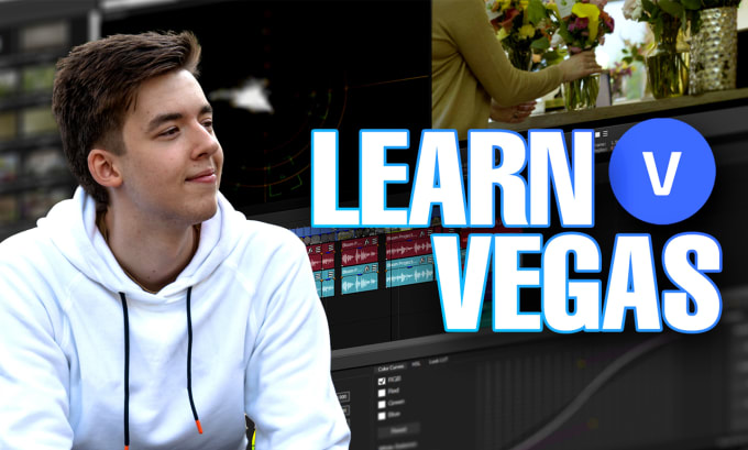 Gig Preview - Provide video editing lessons and support for vegas pro