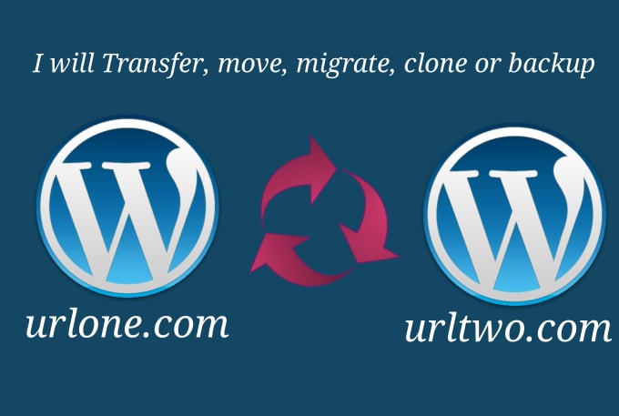 Gig Preview - Transfer wordpress website, migrate , restore site or wp site