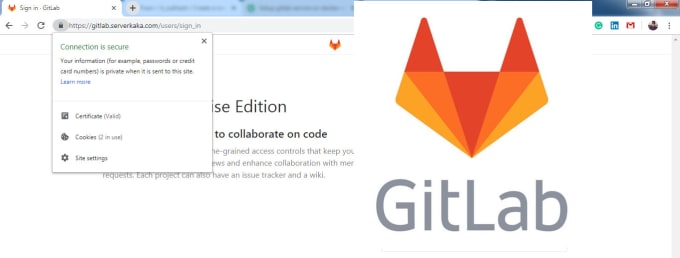 Gig Preview - Install and configure gitlab code repository in your server