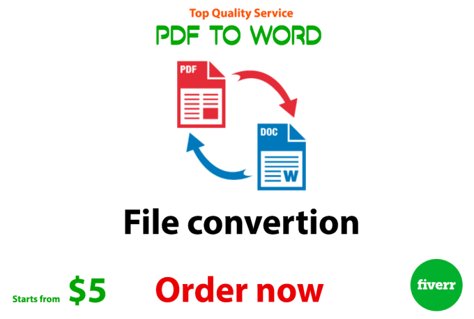 Gig Preview - Convert pdf to word