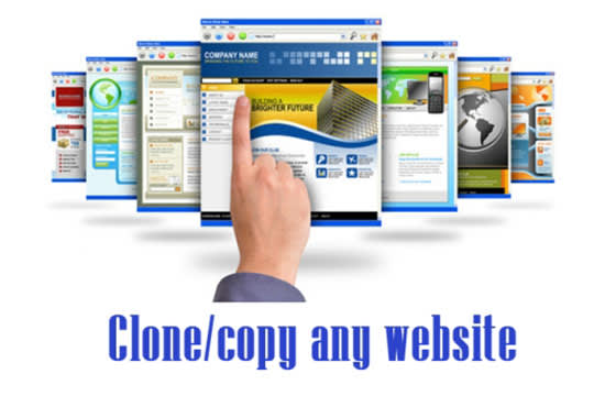 Gig Preview - Clone, copy or duplicate the site you provide five per page