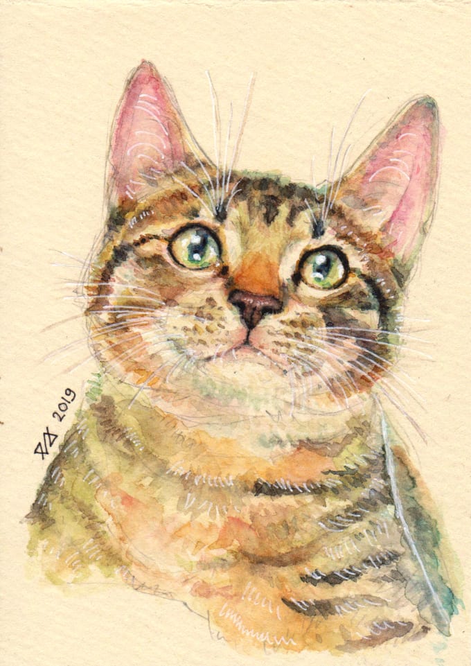 Gig Preview - Draw your pet in a cute realistic watercolor style