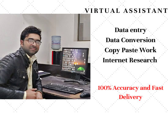 Gig Preview - Be your virtual assistant  for data entry work