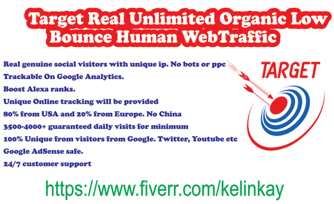 Gig Preview - Target real unlimited organic low bounce human web traffic