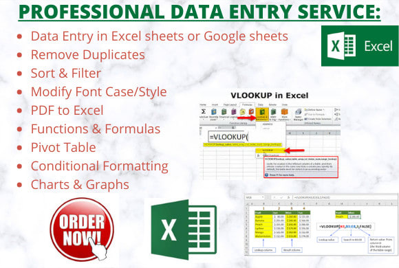 Gig Preview - Create and format excel spreadsheets or google sheets