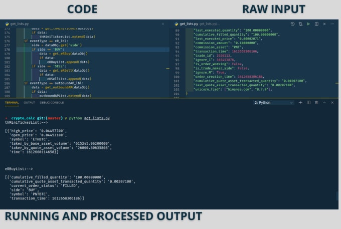 Gig Preview - Write python scripts tailored to your problem solving needs