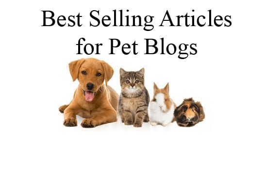 Gig Preview - Write engaging and well researched pet articles