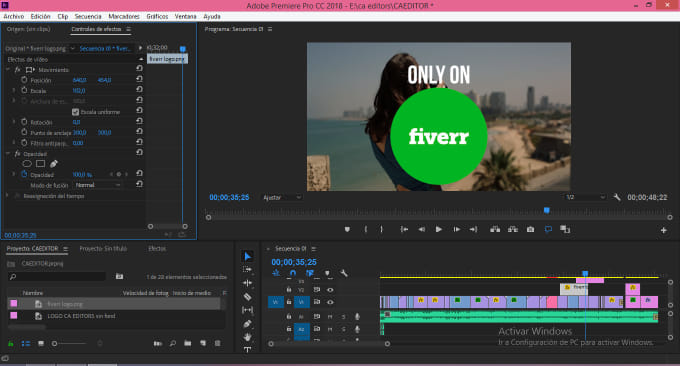 Gig Preview - Do professional video editing