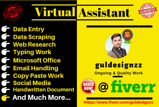 Gig Preview - Be virtual assistant  for data entry copy paste web research