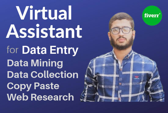 Gig Preview - Be your virtual assistant for data entry and web research