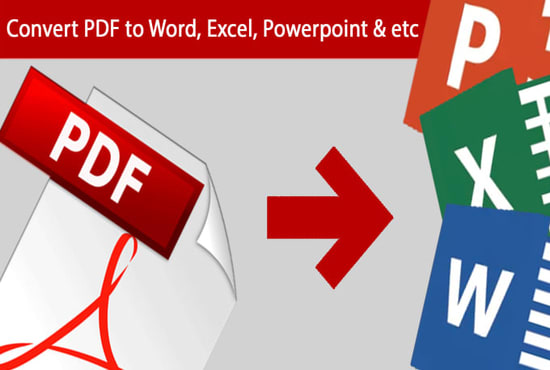 Gig Preview - Convert PDF to excel or csv