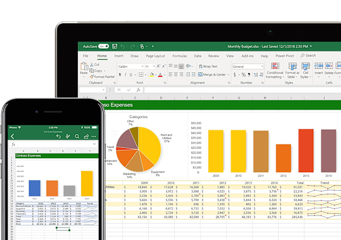 Gig Preview - Create excel graphs, pivot tables, dashboards and entry data