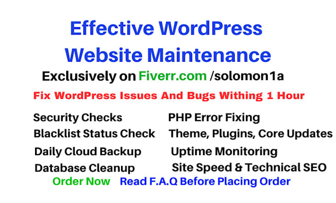 Gig Preview - Do wordpress website maintenance, support, help, fix issues