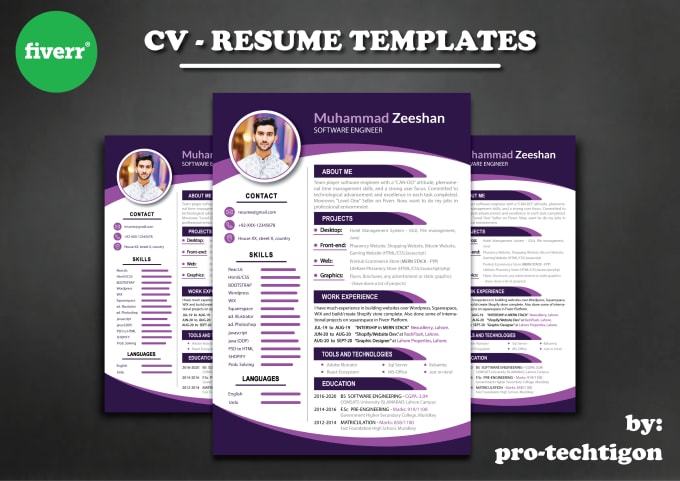 Gig Preview - Professionally design and write your resume and CV