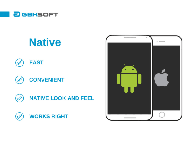 Gig Preview - Develop a native ios app for iphone, ipad, watch