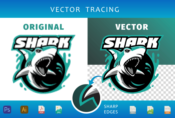 Gig Preview - Vector trace or redesign any image or logo for you in 6 hours