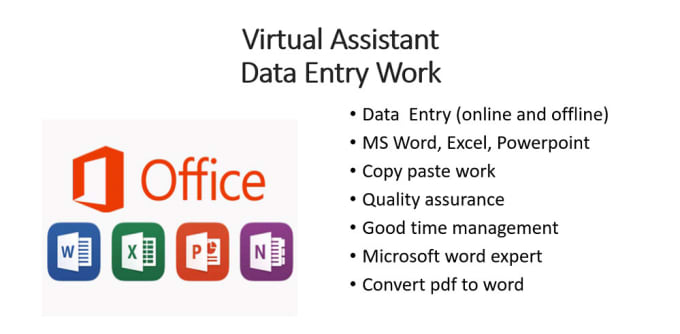 Gig Preview - Do data entry work in time