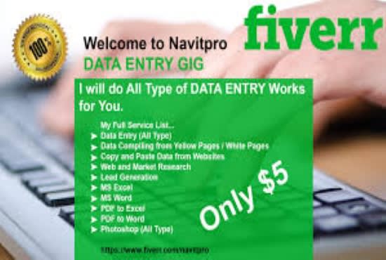 Gig Preview - Do fast data entry for you any type