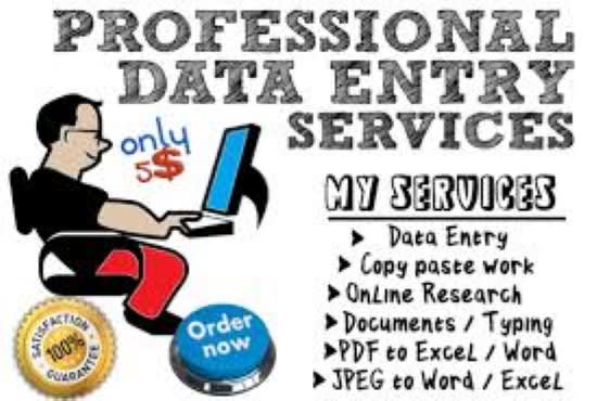 Gig Preview - Do any type of data entry work within 24 hrs dilevry time