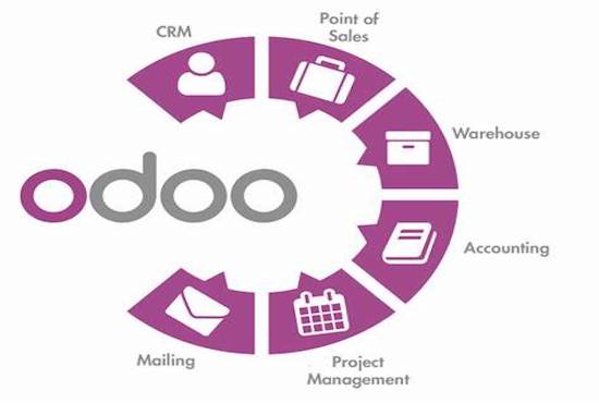 Gig Preview - Build odoo website and app for your business