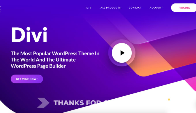 Gig Preview - Build a wordpress site using divi theme or elementor plugin