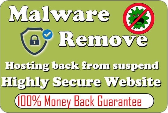 Gig Preview - Remove malware from wordpress website