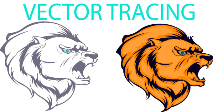 Gig Preview - Convert to vector, vector tracing,vector illustration,images