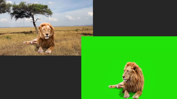 Gig Preview - Remove the greenscreen and edit your video within 24hrs