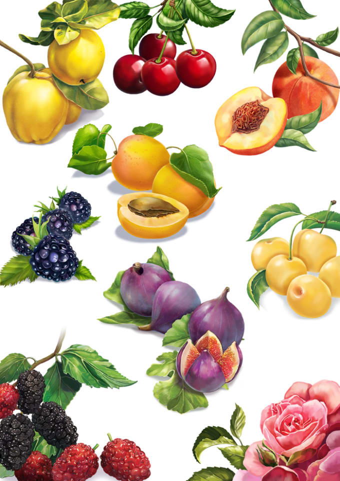 Gig Preview - Draw watercolor and digital fruits for your logo