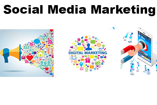 Gig Preview - Do social media marketing and internet marketing