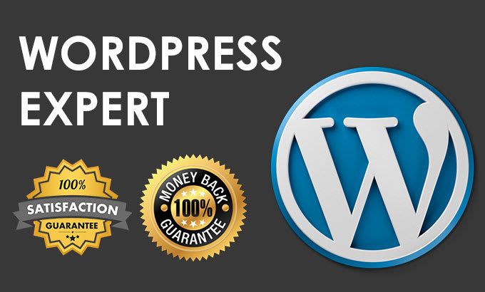 Gig Preview - Design, develop your wordpress website as an expert