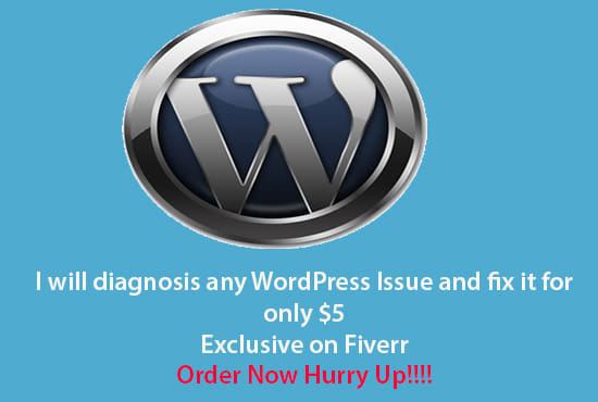 Bestseller - fix wordpress,css issue perfectly and revision available