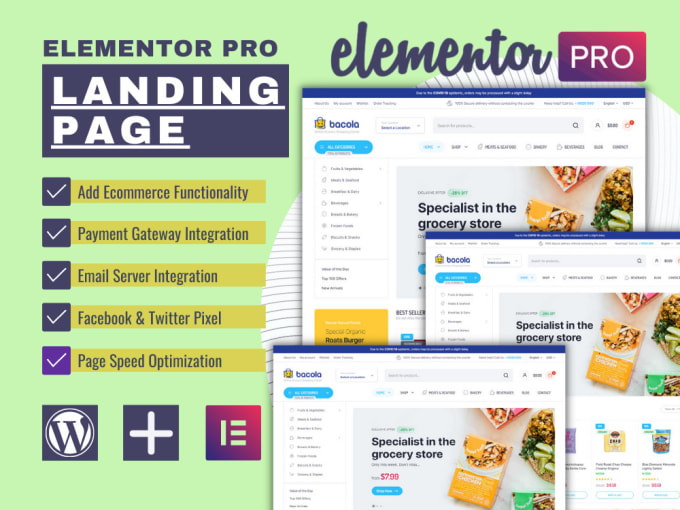 Gig Preview - Design an amazing landing page with elementor pro