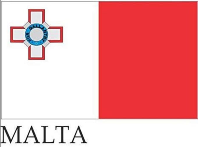 Gig Preview - Translate your document from maltese into english or italian