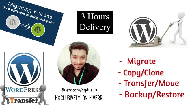 Gig Preview - Migrate,transfer or backup wordpress website