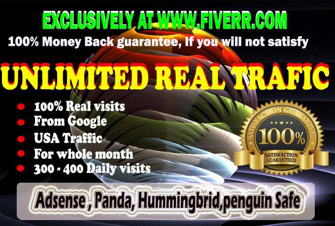 Gig Preview - Drive unlimited genuine web traffic for 30 days