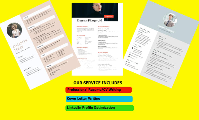 Gig Preview - Write ats resume, cover letter, and professional CV design, your cv maker